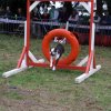 foire-haricots 2011-09-17et18